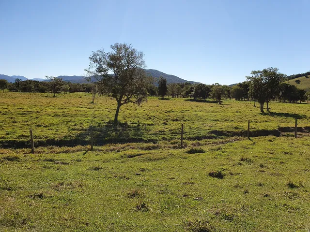 Imagem: FAZENDA DE PECUÁRIA A VENDA EM PAULO LOPES