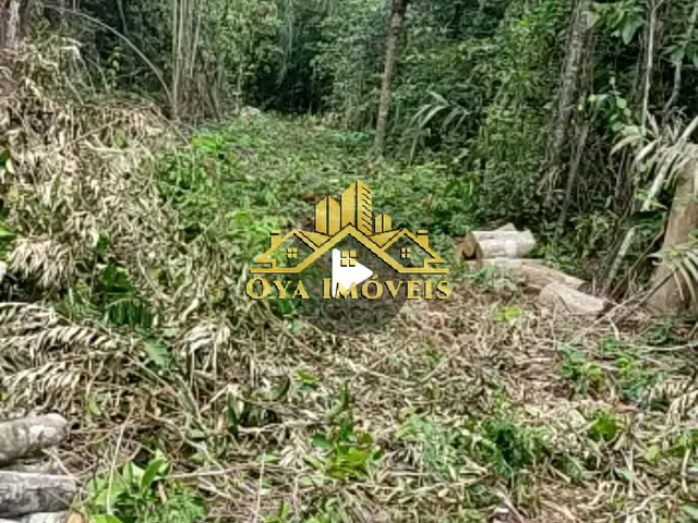 Imagem 4: TERRENO RURAL em IRANDUBA - AM, CENTRO