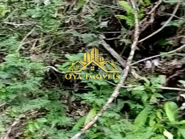 Imagem 3: TERRENO RURAL em IRANDUBA - AM, CENTRO