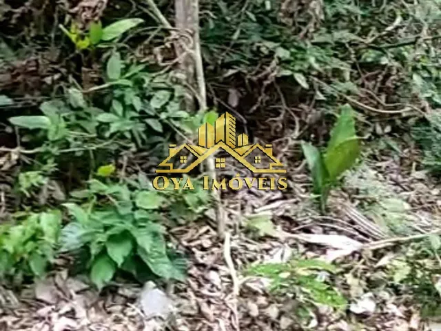 Imagem 2: TERRENO RURAL em IRANDUBA - AM, CENTRO