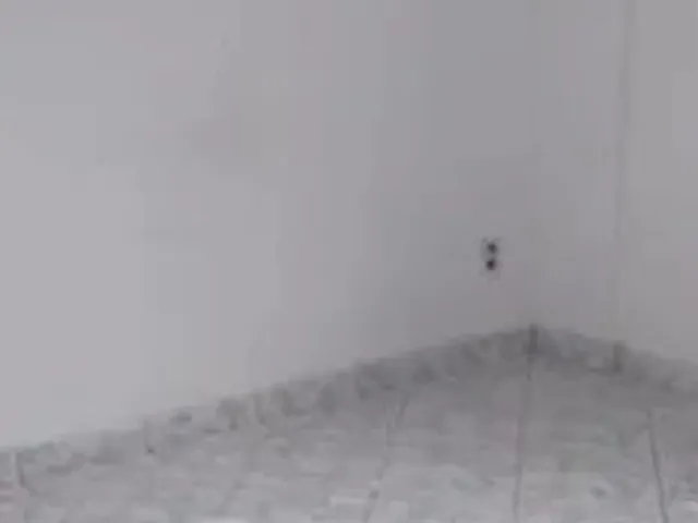 Imagem 5: Apartamento Brasília Recanto das Emas