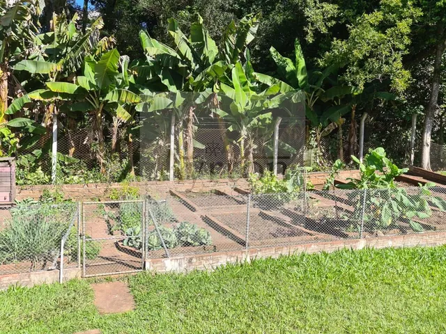 Imagem 14: Sítio à venda no bairro Vista Alegre - Ivoti/RS