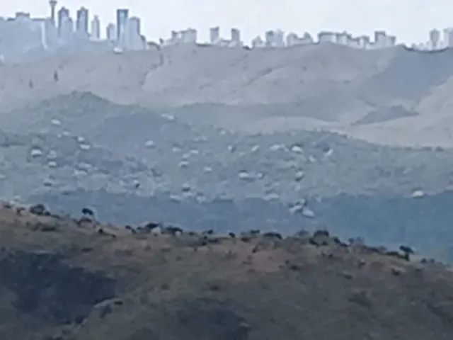 Imagem 2: Terreno à venda em Nova Lima-MG, bairro Quintas do Morro, com 3.675,00 m² de área!