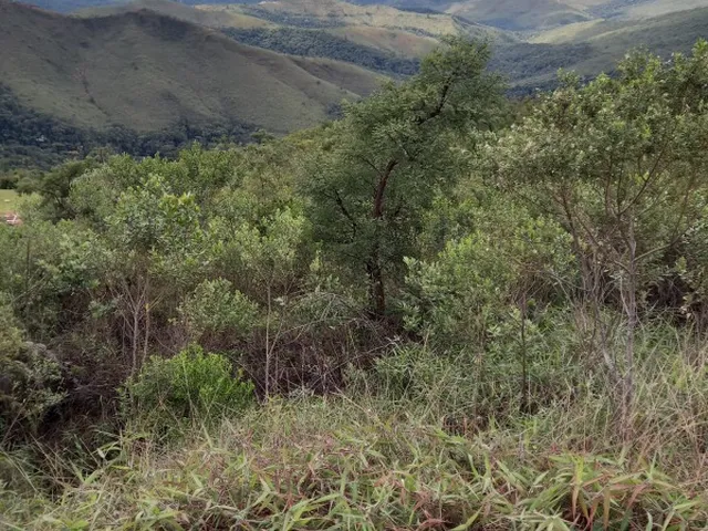 Imagem 9: Terreno à venda em Nova Lima-MG, bairro Quintas do Morro, com 3.675,00 m² de área!