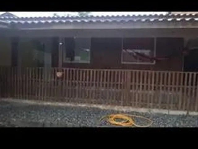 Imagem: Alugo Casa
