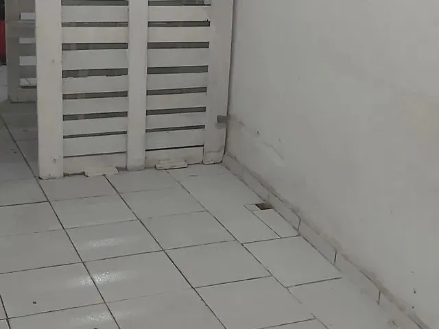 Imagem: Aluga Se Casa Ma Madalena