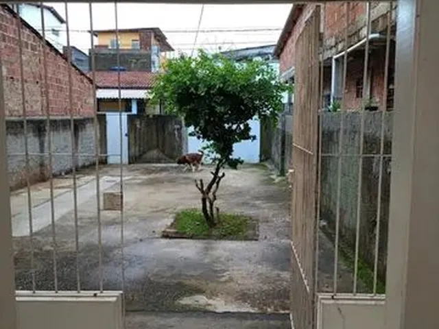 Imagem: Alugo Casa Casa