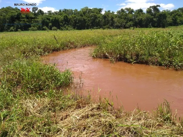 Imagem: Chácara Molhada com 24.200 M2, com Casa