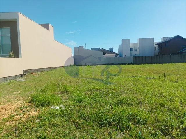Imagem 6: Viva a Conexão com a Natureza: Morada das Palmeiras em Torres
