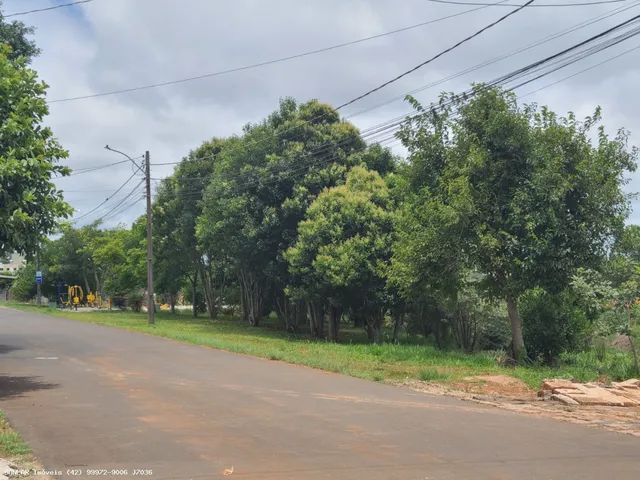 Imagem 15: Apartamento para Venda em Ponta Grossa, Jardim Primavera, 1 Dormitório, 1 Banheiro, 1 Vaga