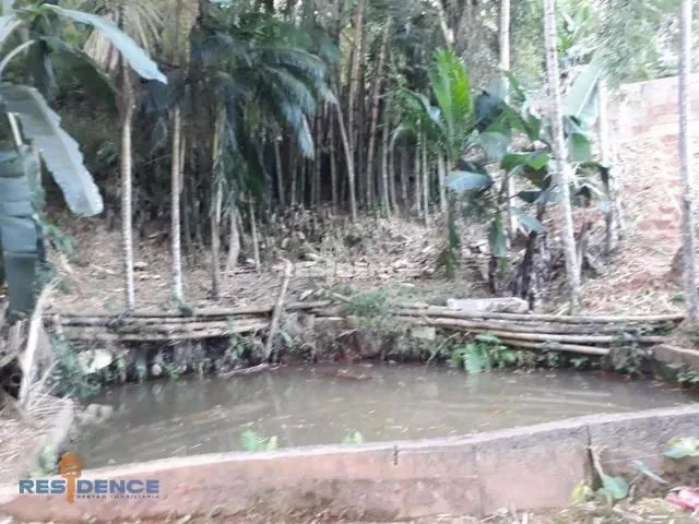 Imagem 6: Chácara Residencial À Venda, Distrito de Rio Fundo, Marechal Floriano - Ch0002
