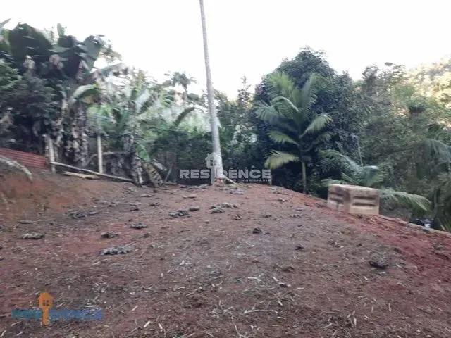 Imagem 9: Chácara Residencial À Venda, Distrito de Rio Fundo, Marechal Floriano - Ch0002