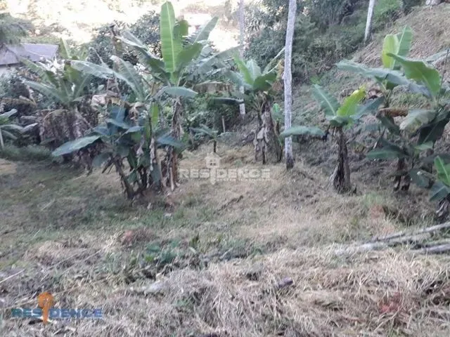 Imagem 3: Chácara Residencial À Venda, Distrito de Rio Fundo, Marechal Floriano - Ch0002