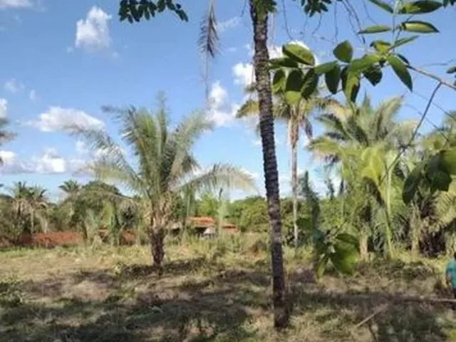 Imagem: Venda