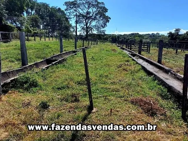 Imagem: Fazenda 25,5 Alqueires em Corumbá de Goiás