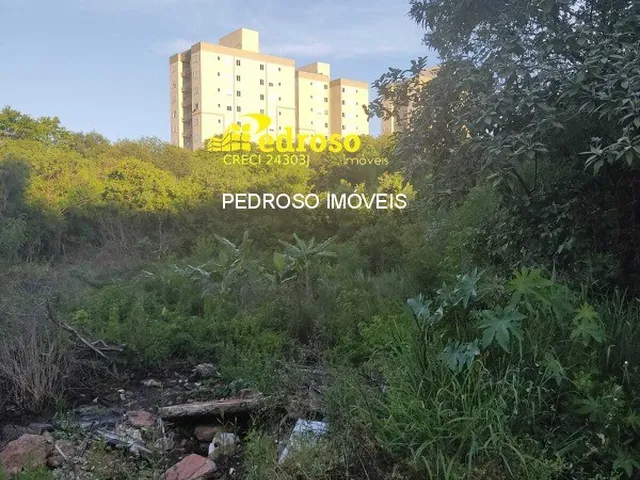 Imagem: TERRENO RESIDENCIAL em SANTO ANGELO - RS