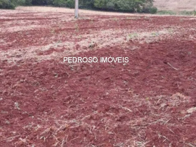 Imagem 2: CHACARA RESIDENCIAL em SANTO ANGELO - RS, INTERIOR