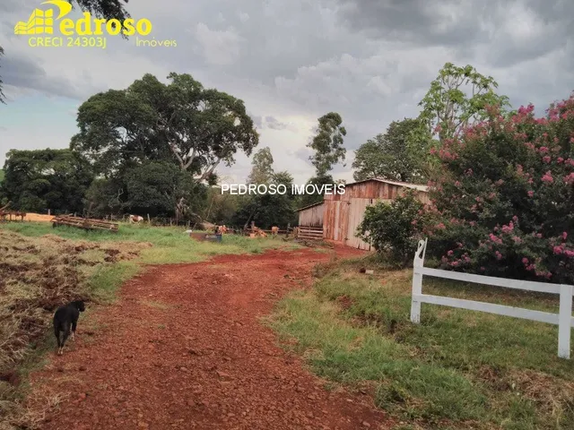 Imagem 3: CHACARA RURAL em SANTO ANGELO - RS, 1