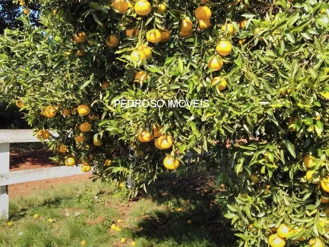 Imagem 12: CHACARA RURAL em SANTO ANGELO - RS, 1