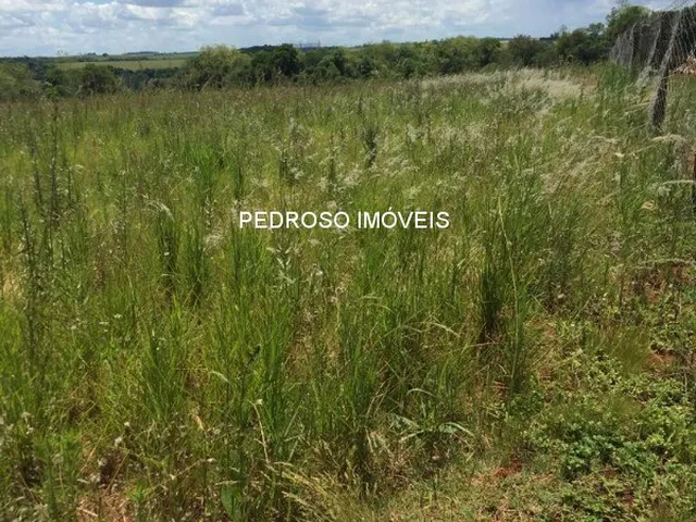 Imagem 2: TERRENO RURAL em Santo Angelo - RS, Rural