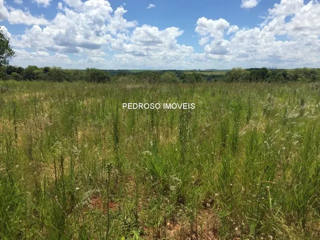 Imagem 11: TERRENO RURAL em Santo Angelo - RS, Rural