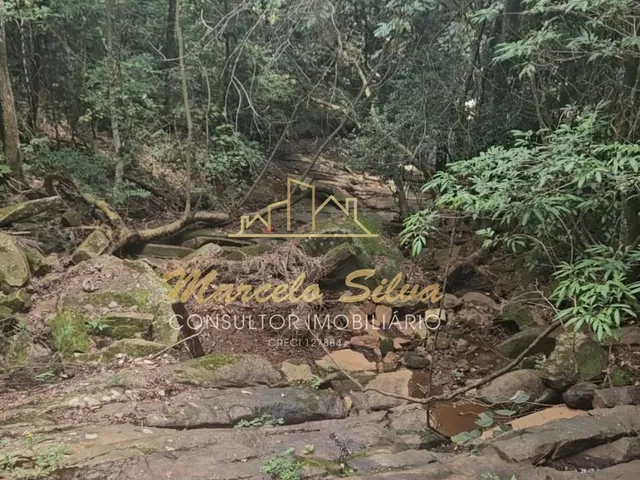 Imagem 3: ÁREA 41 ALQUEIRES COM ACESSO PARA REPRESA