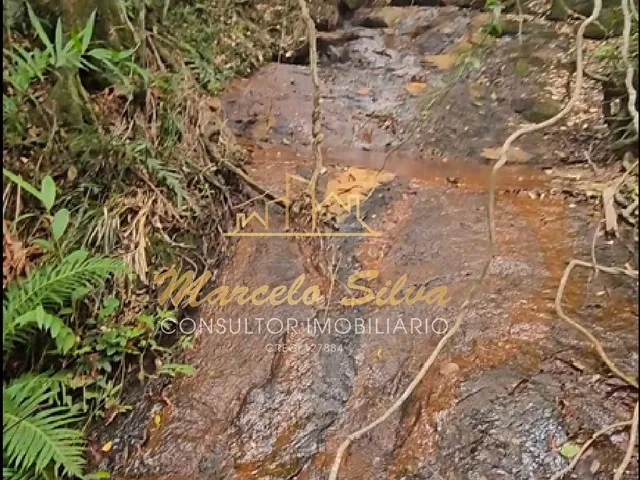 Imagem 4: ÁREA 41 ALQUEIRES COM ACESSO PARA REPRESA