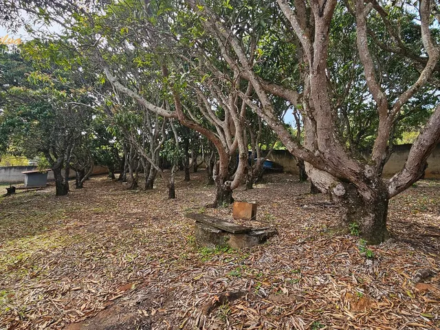 Imagem 9: SITIO VARGEM 40.000 m² PRÓXIMO AO CENTRO CIDADE