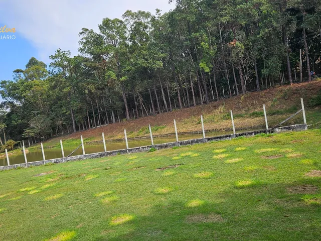 Imagem 4: SITIO VARGEM 40.000 m² PRÓXIMO AO CENTRO CIDADE