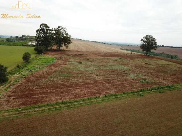 Imagem: 20.000 M², Área no Campo Novo, Bragança