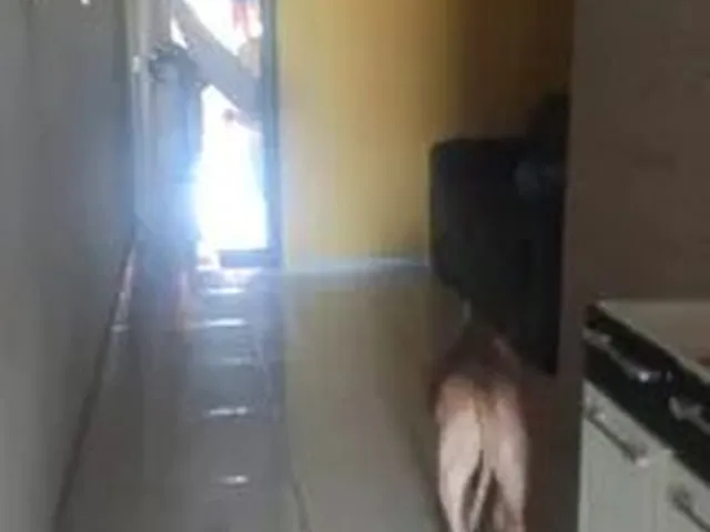 Imagem 5: Vendo Duplex no Bairo Vila Peri