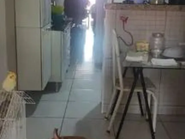 Imagem 13: Vendo Duplex no Bairo Vila Peri