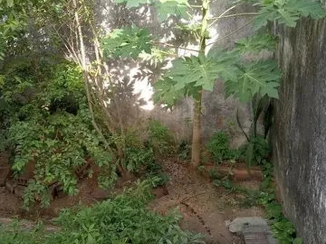 Imagem 13: Vende-Se Uma Ótima Casa no Ibura Recife
