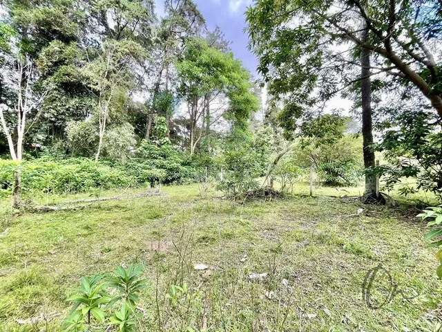 Imagem 16: Imperdível Oportunidade: Casa Comercial com 5 Quartos, 3 Suítes e 15 Vagas de Garagem na Vila Santo Antônio, Cotia-Sp