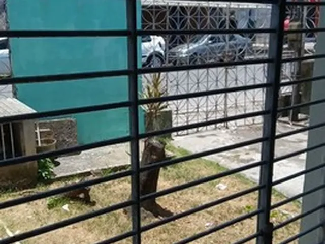 Imagem 2: Casa no Vasco da Gama-Terreno 661,29M²