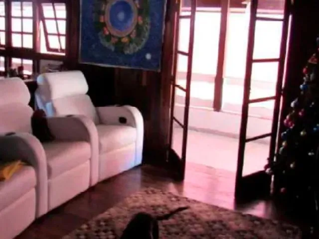 Imagem 11: .