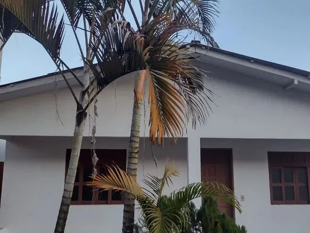 Imagem: Casa de Temporada Vip (Santa Teresa