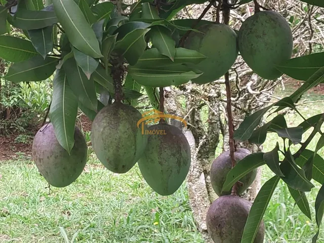 Imagem 13: 0 Fazenda / sítio com 1 dormitório
