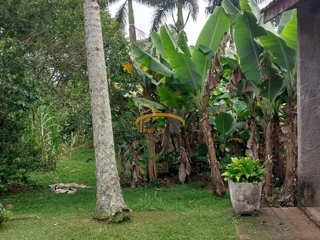 Imagem 7: 0 Fazenda / sítio com 1 dormitório