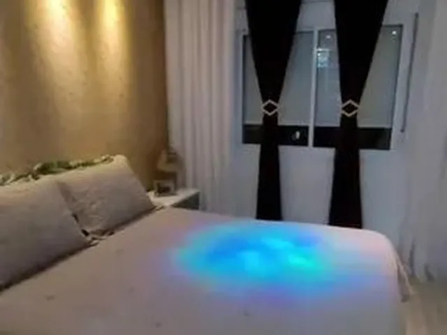 Imagem 5: Alugo Anual Apartamento com 2 dormitórios
