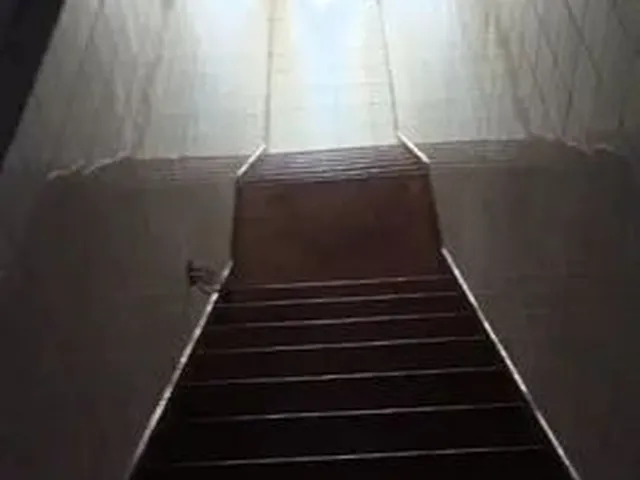 Imagem: Apartamento 2 Dormitórios. Av. Constantino