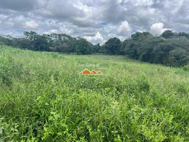 Imagem 2: CHACARA RESIDENCIAL em ESMERALDAS - MG, taquaras