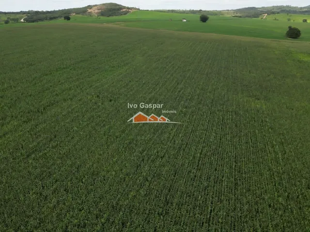 Imagem: FAZENDA RURAL em BOM DESPACHO - MG, bom