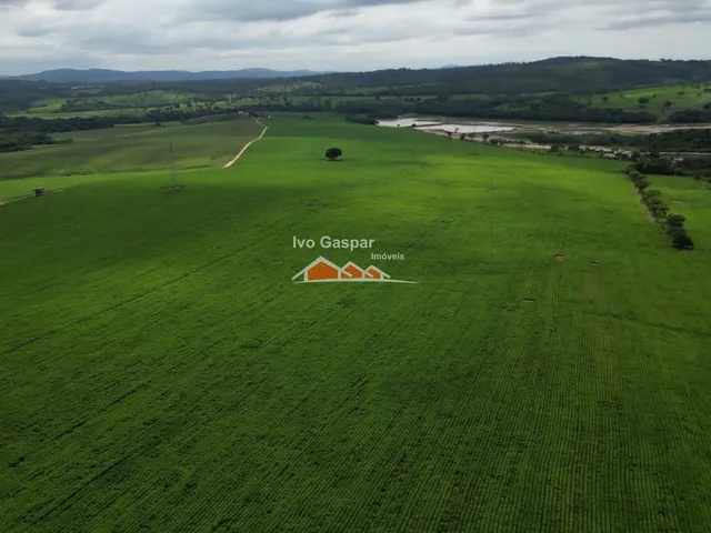 Imagem 4: FAZENDA RURAL em BOM DESPACHO - MG, bom despacho