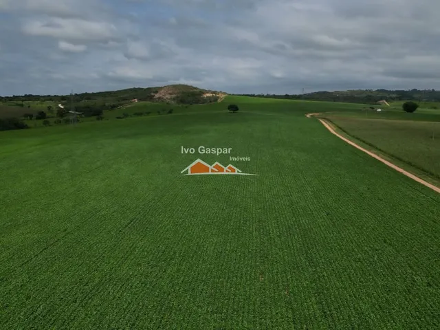 Imagem 6: FAZENDA RURAL em BOM DESPACHO - MG, bom despacho