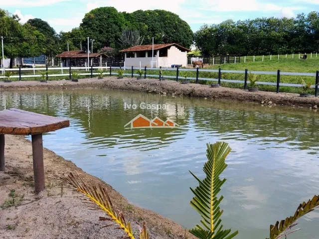 Imagem 3: FAZENDA RURAL em PARÁ DE MINAS - MG, CENTRO