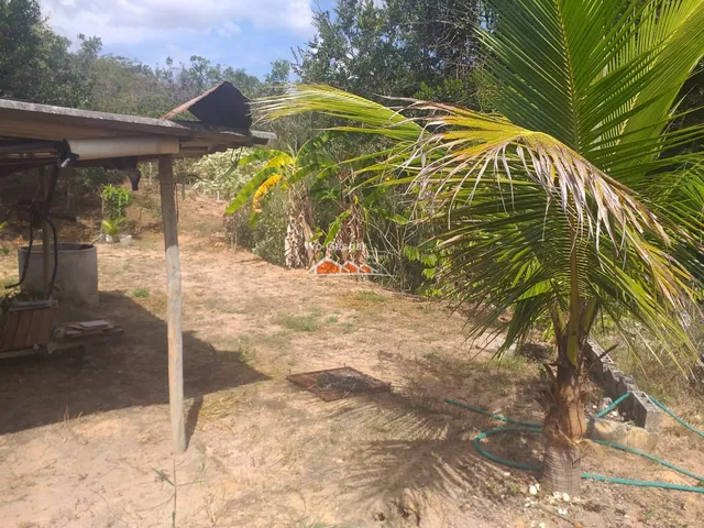 Imagem 13: SITIO RURAL em ESMERALDAS - MG, vargem