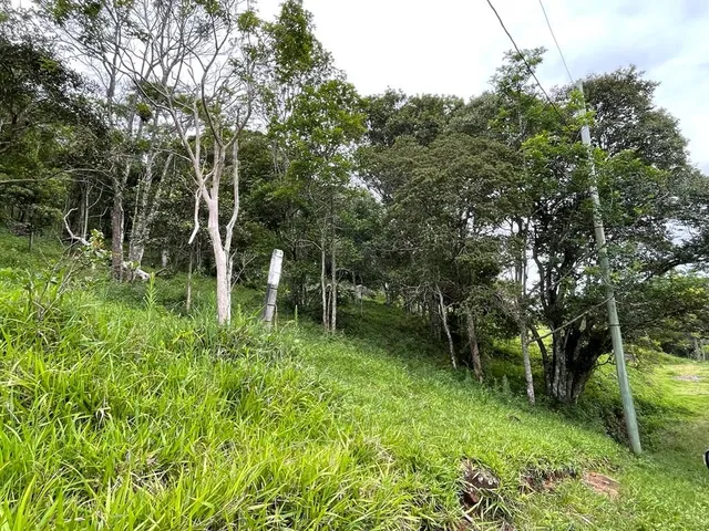 Imagem 9: Terreno na Garopaba, com linda vista ao mar