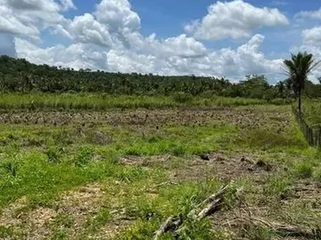 Imagem 5: Sítio com Lagoa em Caratinga