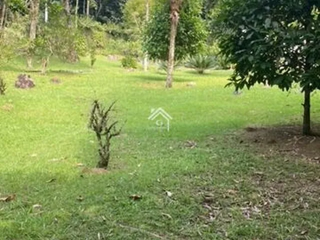 Imagem: Sítio com ampla área verde e nascente
